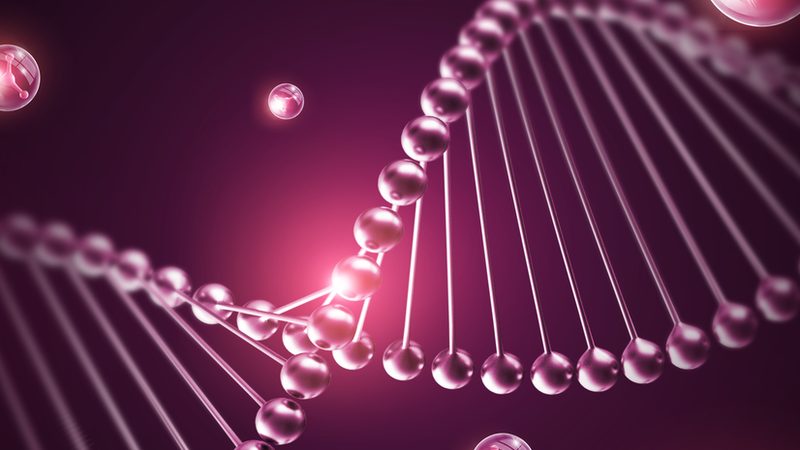 如何选择合适的ELISA试剂盒代理加盟？关键因素解析**