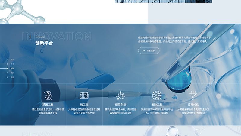 张江CDMO公司：揭秘医药研发背后的力量**