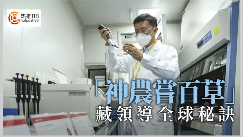 CDMO商业化生产服务：揭秘药物研发的“幕后英雄
