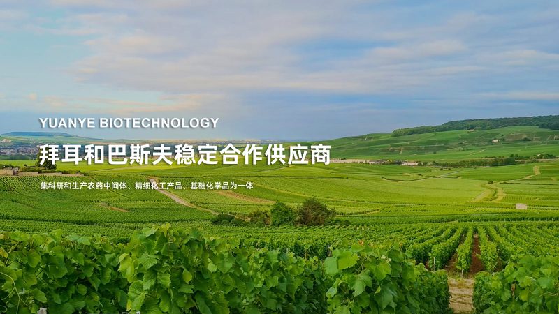 CDMO中间体定制价格对比