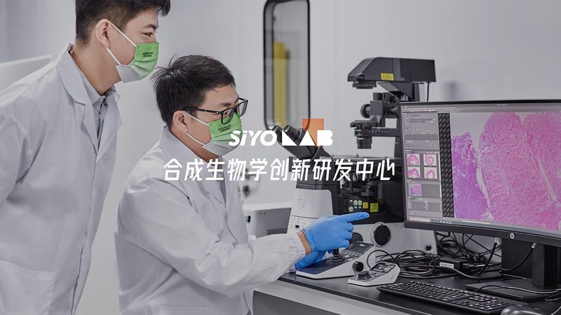 云南建筑有限公司