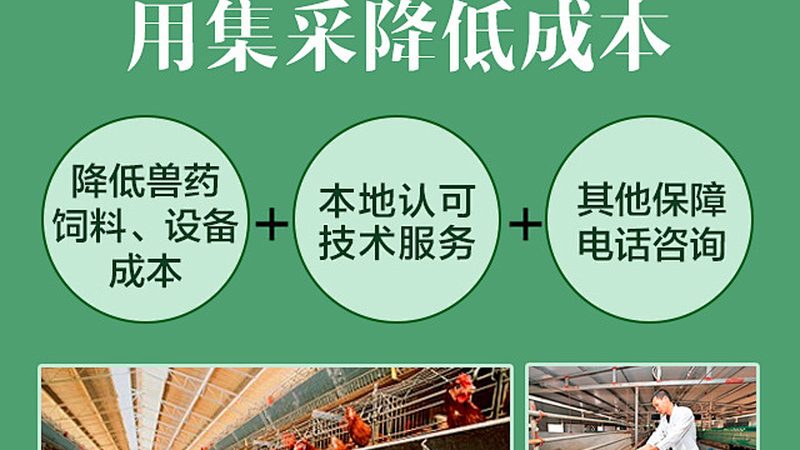 CDMO与CMO：项目评估中的关键区别解析