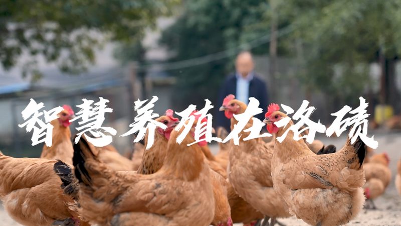 成都基因检测分类详解：了解不同类型，精准选择服务
