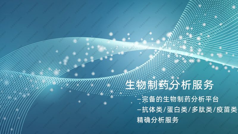 小分子CDMO：揭秘药物研发背后的“隐形功臣