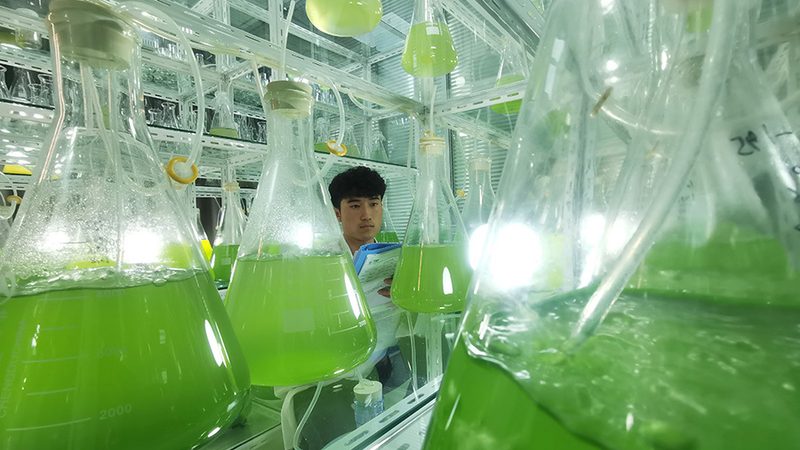 CDMO定制研发生产厂家：揭秘药物研发背后的“隐形英雄
